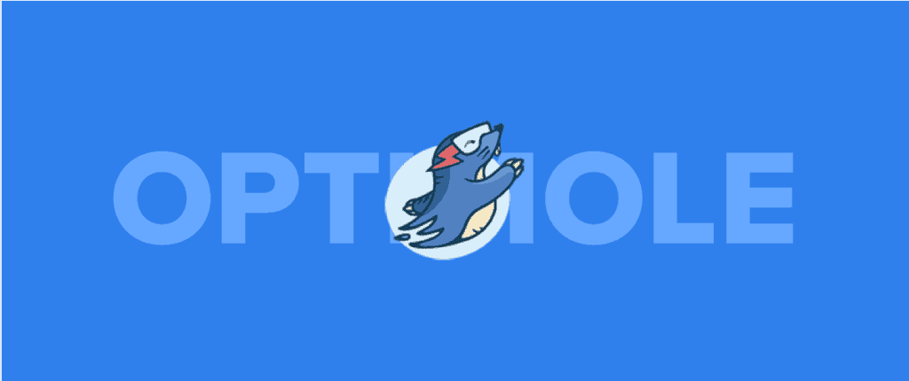 How to Serve WebP Images instead of JPG or PNG with WordPress