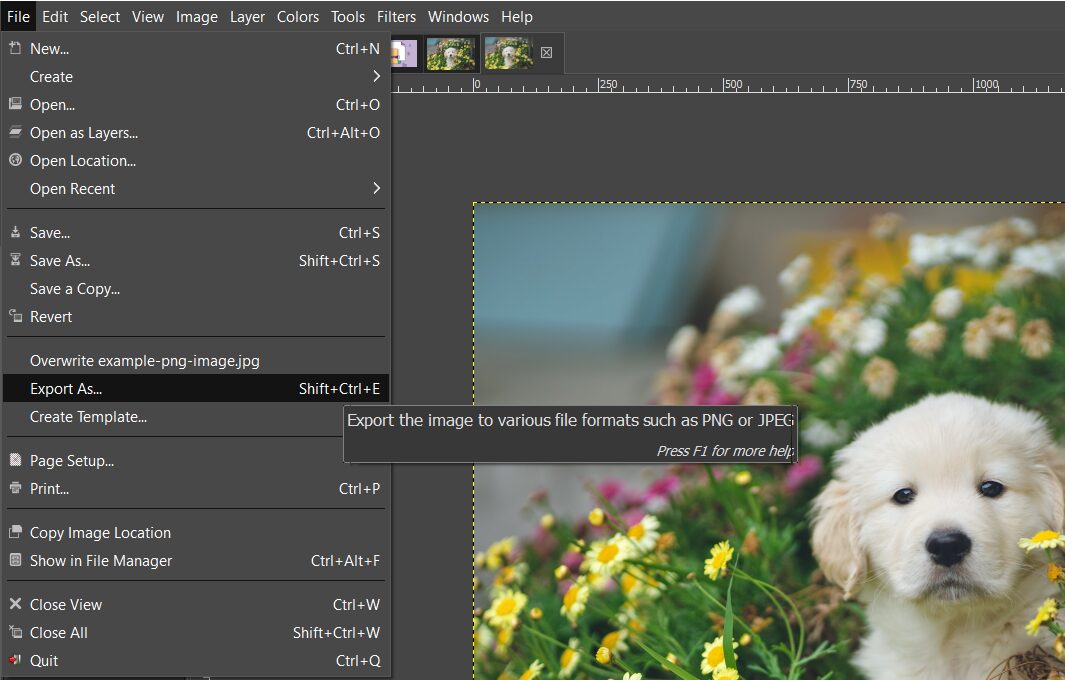 Understanding Lossless Compression and When to Use It