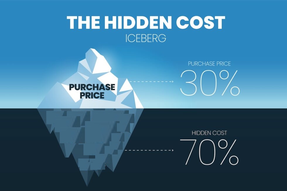The True Cost of DIY Web Development